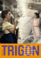 Bulletin TRIGON No 31 Bulletin
