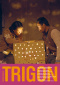 Abonnement Magazin TRIGON Magazin