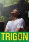 Bulletin TRIGON No 15 Bulletin