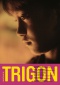 Bulletin TRIGON No 26 Bulletin