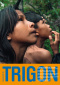 Bulletin TRIGON No 40 Bulletin