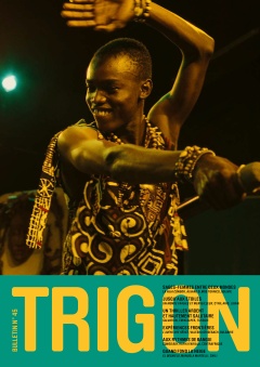 Bulletin TRIGON No 45 (Bulletin)