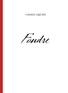 Foudre DVD