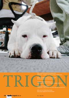 TRIGON 29 - Bombón/The Hunter (Magazine)