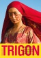 TRIGON 82 - Khook/Styx/Birds of Passage Magazine