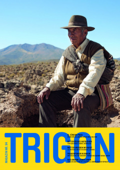 TRIGON No 94 (Magazine)