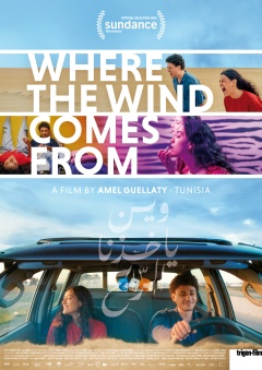 Where the Wind Comes From Posters One Sheet