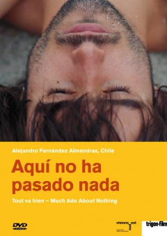 Aquí no ha pasado nada - Much ado about nothing (Special Price)